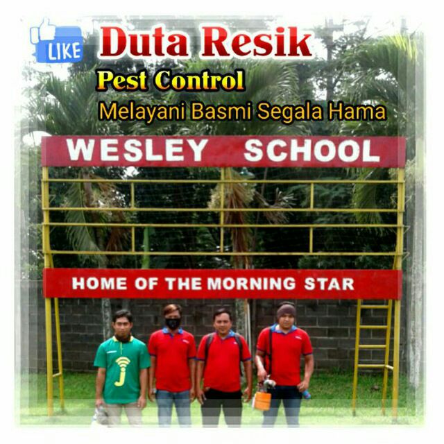 pest-control-malang